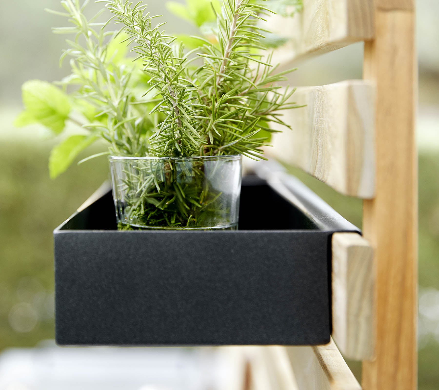 A black planter box holds a glass containing fresh green herbs, set against a wooden framework.