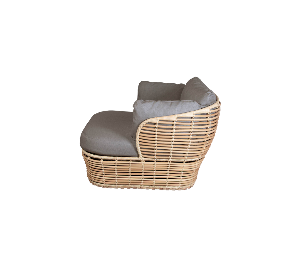 Basket lounge chair