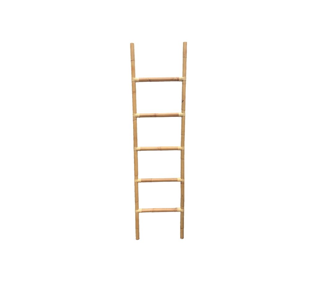Climb ladder